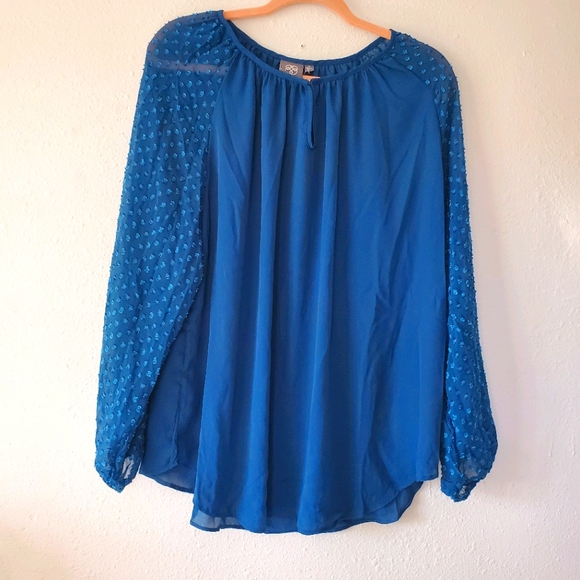 Daisy Fuentes Tops - NWT Blue Daisy Fuentes Longsleeved Blouse